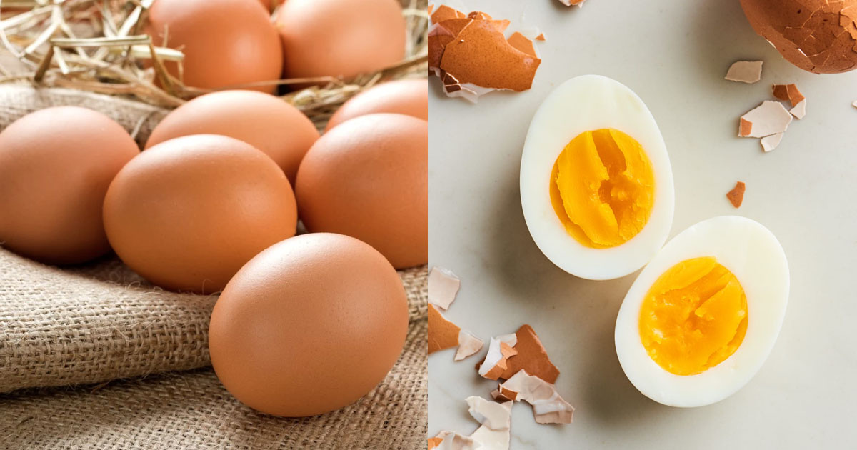 ശരീരഭാരം കുറയ്ക്കുന്നതിന് ദിവസവും ഒരു മുട്ട വീതം കഴിക്കുന്നത് ശീലമാക്കുക.. മുട്ട കൊണ്ട് ഇത്രയേറെ ഗുണങ്ങൾ ഉണ്ടായിരുന്നോ. | Health Benefits Of Egg