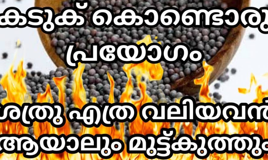 കടുക് കൊണ്ട് ഇങ്ങനെ ചെയ്താൽ ശത്രു എത്ര വലിയ കൊലകൊമ്പൻ ആയാലും മുട്ടുകുത്തും..