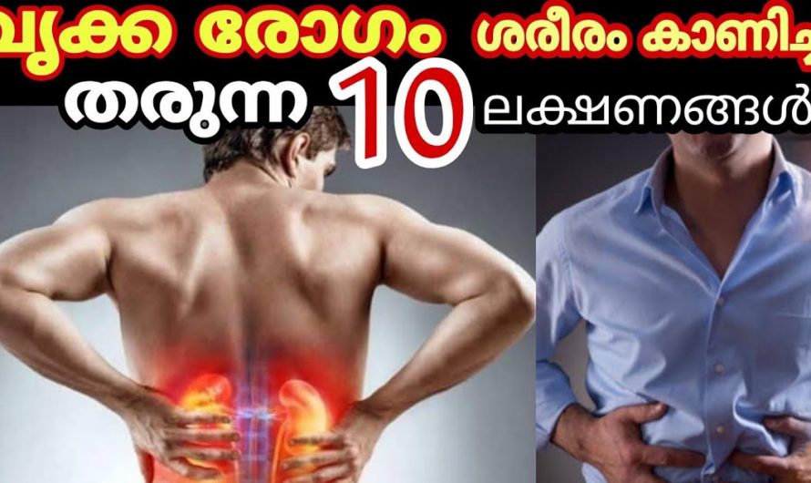 വൃക്കാ രോഗം തുടങ്ങിയെന്ന് ഈ ലക്ഷണങ്ങൾ കാണുമ്പോഴെങ്കിലും മനസ്സിലാക്കുക. | Watch Out For These Early Signs