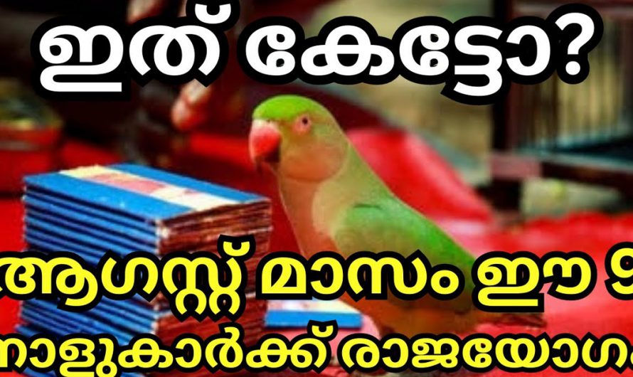 ഓഗസ്റ്റ് ഒന്നാം തീയതി മുതൽ രാജയോഗം ആരംഭിക്കുന്ന 9 നാളുകാർ. നിങ്ങൾ ഇതിലെ ഭാഗ്യവാന്മാരാണോ.