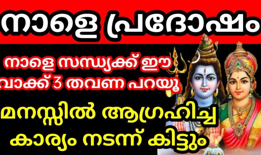 ഇന്ന് പ്രദോഷം. ഈ വാക്ക് മറക്കാതെ മൂന്ന് തവണ പറഞ്ഞാൽ മനസ്സിലുള്ള എത്ര വലിയ ആഗ്രഹവും നടക്കും.