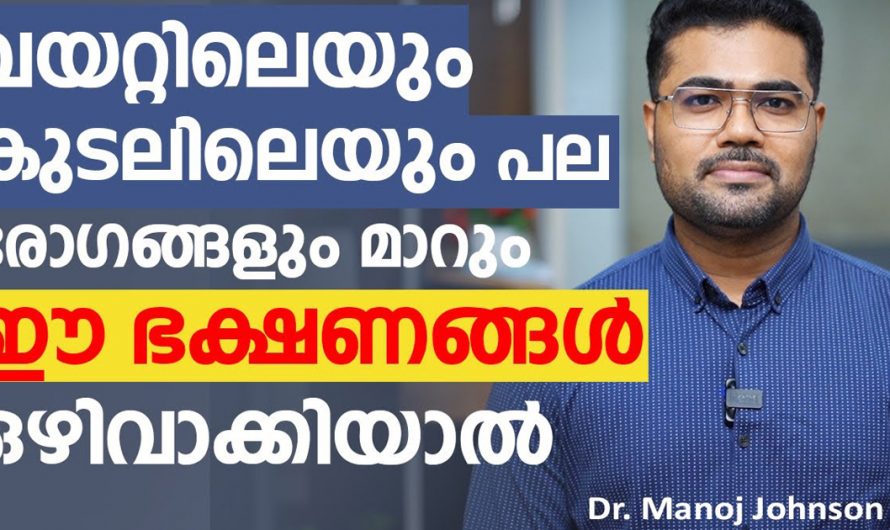 വീട്ടമ്മമാർ ഈ കാര്യങ്ങളിൽ കുറച്ച് ശ്രദ്ധ കൊടുത്താൽ വയറ്റിലെ പല രോഗങ്ങളും ഇല്ലാതാക്കാം. | Stomach Health Care