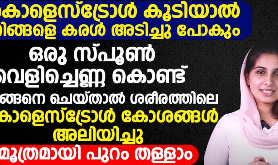 കൊളസ്ട്രോൾ കൂടി എന്നോർത്ത് ഇനി ആരും വിഷമിക്കേണ്ട. ഒരു സ്പൂൺ വെളിച്ചെണ്ണ കൊണ്ട് എളുപ്പം കുറയ്ക്കാം. | If Cholesterol Is High