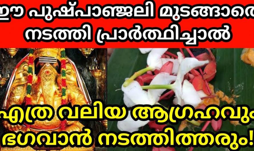 100% ഫലം ഉറപ്പ്. എത്ര വലിയ ആഗ്രഹവും ഈ അത്ഭുത വഴിപാട് ചെയ്താൽ നടന്നിരിക്കും.