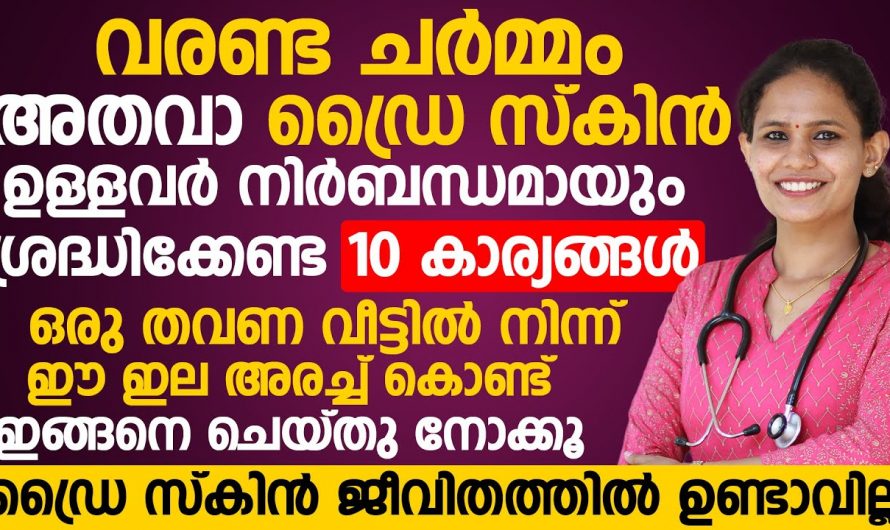 ഈ ഇല കൊണ്ട് ഒന്നുരച്ചാൽ മതി വരണ്ട ചർമം താനെ മാറിക്കോളും. ഇതുപോലെ ചെയ്തു നോക്കൂ. | Dry Skin Remove Tip