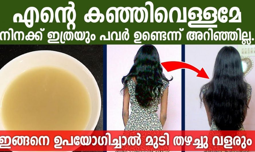 ഈ കഞ്ഞി വെള്ളം മാത്രം മതി തലമുടി കൊഴിയുകയുമില്ല വളർന്നുകൊണ്ടിരിക്കും. | Hair Growing Water