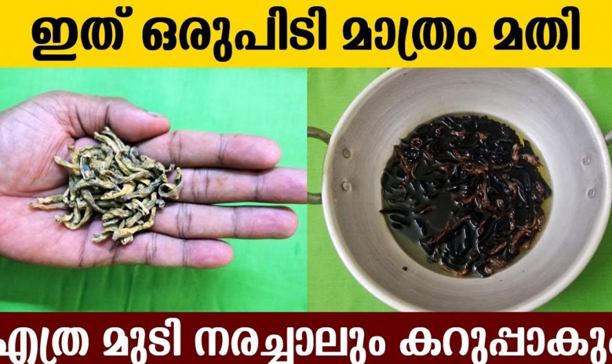 വീട്ടിലുള്ള ഈ സാധനം ഉപയോഗിച്ചുള്ള ഈ ഓയിൽ മാത്രം മതി മുടി തഴച്ചു വളരാൻ. നിങ്ങളും റെഡിയാക്കി നോക്കൂ. | Natural Hair Dye for Hair Black