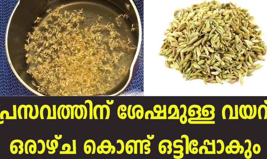 സ്ത്രീകൾക്ക് കുടിക്കാൻ പറ്റിയ കിടിലൻ ഡ്രിങ്ക്. പ്രസവശേഷമുള്ള വയർ ഇതോടെ ഇല്ലാതാക്കാം. | Reduce Stomach After Pregnancy