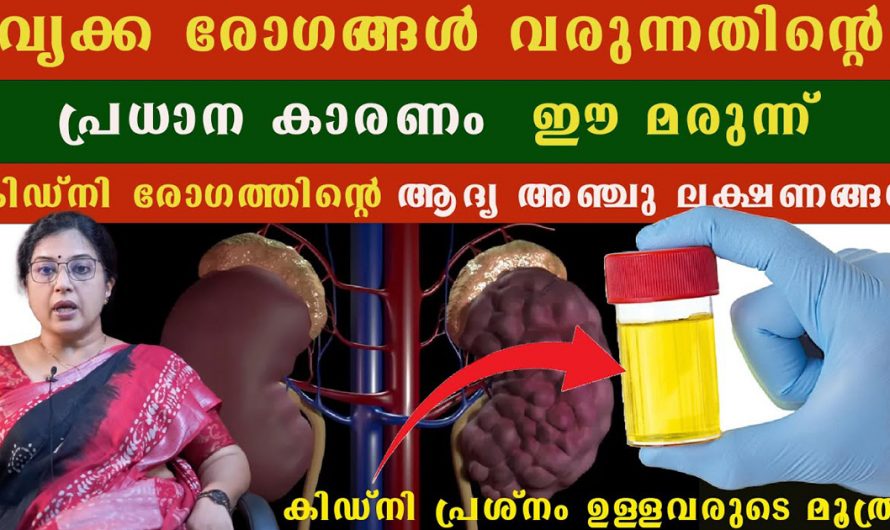 നിങ്ങളുടെ വൃക്കകൾ അപകടത്തിൽ ആണെന്ന് സൂചിപ്പിക്കുന്ന ലക്ഷണങ്ങൾ. | Health Kidney Tips Malayalam