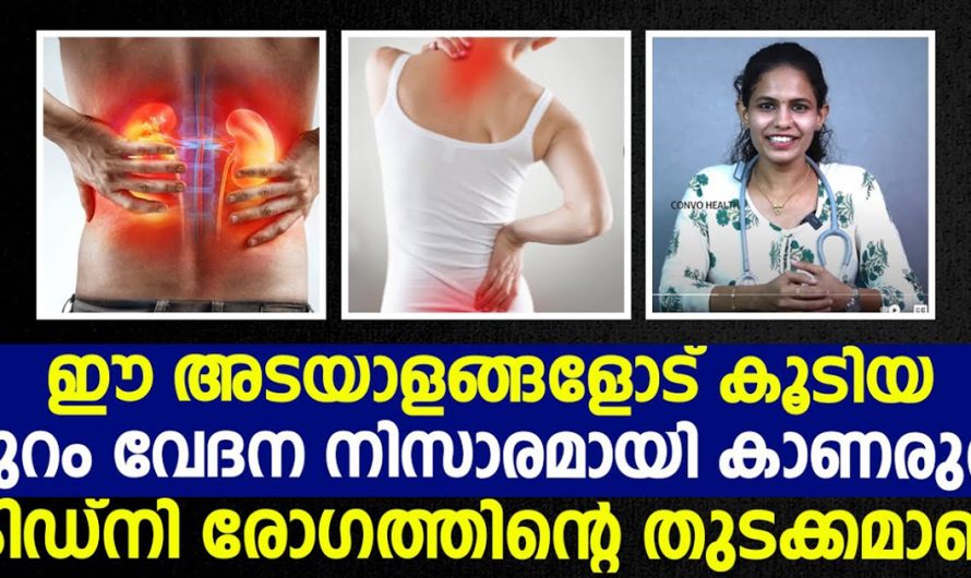 ഇതുപോലെ പുറം വേദന വന്നാൽ നിങ്ങളുടെ കിഡ്നിക്ക് തകരാറുണ്ട്. | It is the Beginning of Kidney Disease