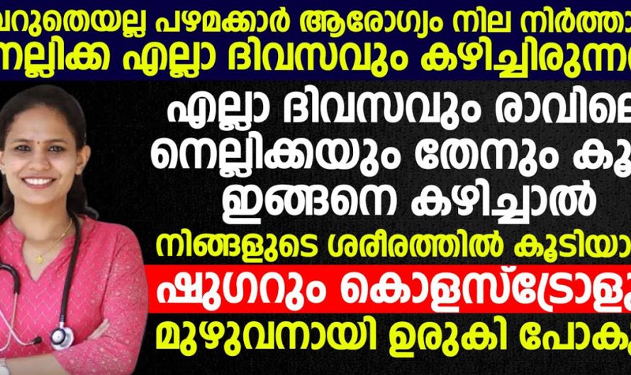 ഇത്രയും ഗുണങ്ങൾ ഉണ്ടായിരുന്നിട്ടാണോ ഇതുവരെയും കാണാതെയും അറിയാതെയും പോയത്. ഷുഗറും കൊളസ്ട്രോളും ഉരുകിപ്പോകും. | Cholesterol will melt away