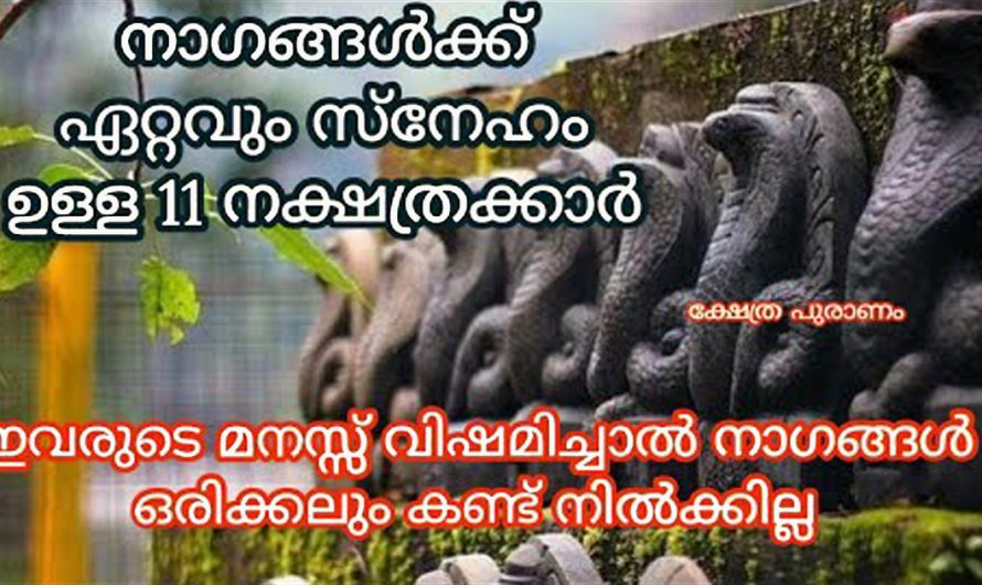 ഈ നക്ഷത്രക്കാർ ജനിക്കുമ്പോൾ മുതൽ നാഗ ദൈവങ്ങളുടെ അനുഗ്രഹം ലഭിച്ചിട്ടുണ്ട്. ഇതിൽ നിങ്ങളുടെ നക്ഷത്രം ഏതാണ്.