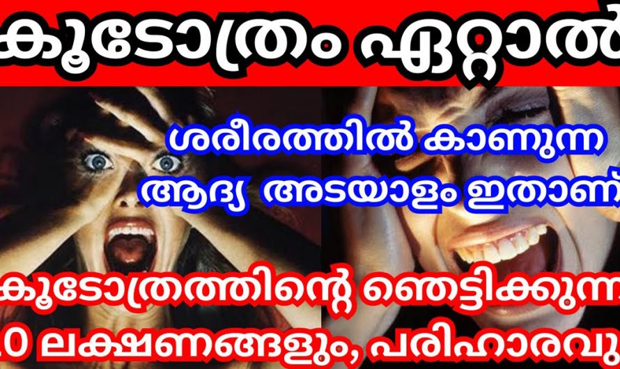 കൂടോത്രത്തിന്റെ ഞെട്ടിക്കുന്ന 10 ലക്ഷണങ്ങൾ. ശരീരത്തിൽ കാണുന്ന ആദ്യ അടയാളം ഇതാണ്.