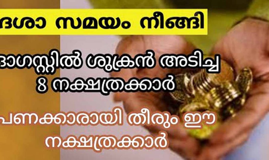 ശുക്രൻ അടിച്ച എട്ട് നക്ഷത്രക്കാർ. ഇവരുടെ സമയം തെളിഞ്ഞിരിക്കുന്നു. സാമ്പത്തികമായ വലിയ ഭാഗ്യമാണ് വരുന്നത്.