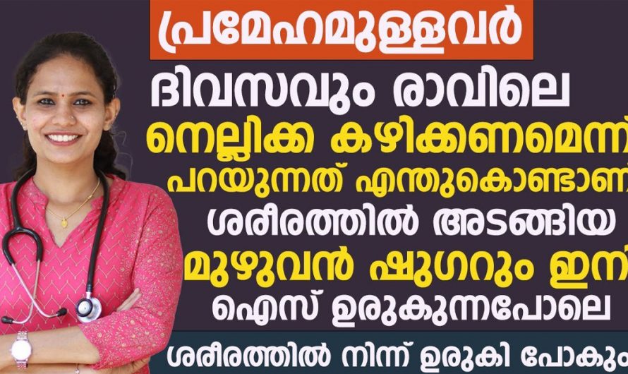 തിരിച്ചുവരാത്ത രീതിയിൽ പ്രമേഹവും കൊളസ്ട്രോളും കുറയ്ക്കാൻ ഈ പഴം കഴിച്ചാൽ മതി. | Healthy Fruits Malayalam