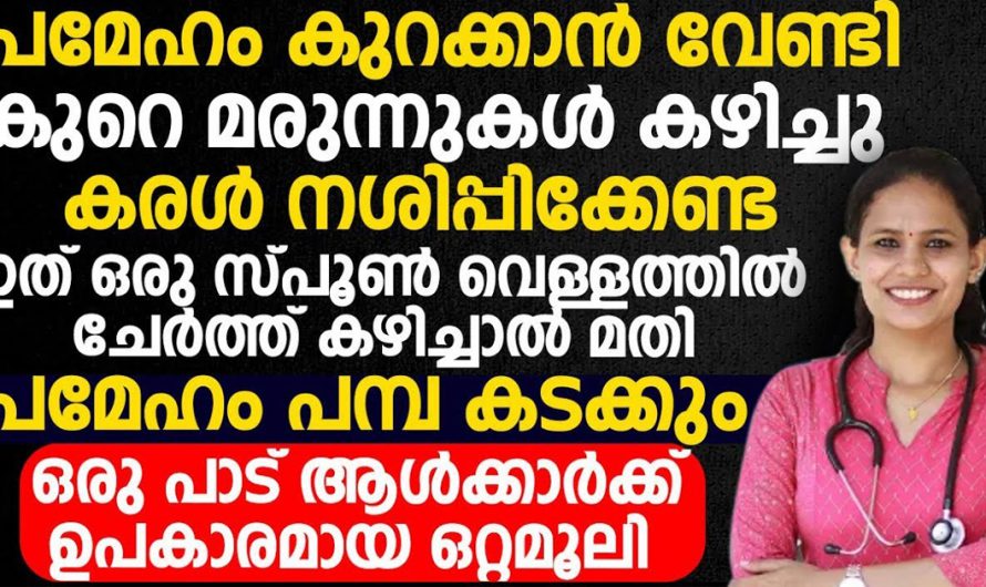 ഷുഗർ കുറയ്ക്കാൻ ഇതാ എളുപ്പമാർഗം. ഈ ജ്യൂസ് ദിവസത്തിന് രണ്ട് നേരം കുടിച്ചാൽ മതി. | Prevent Sugar Problems