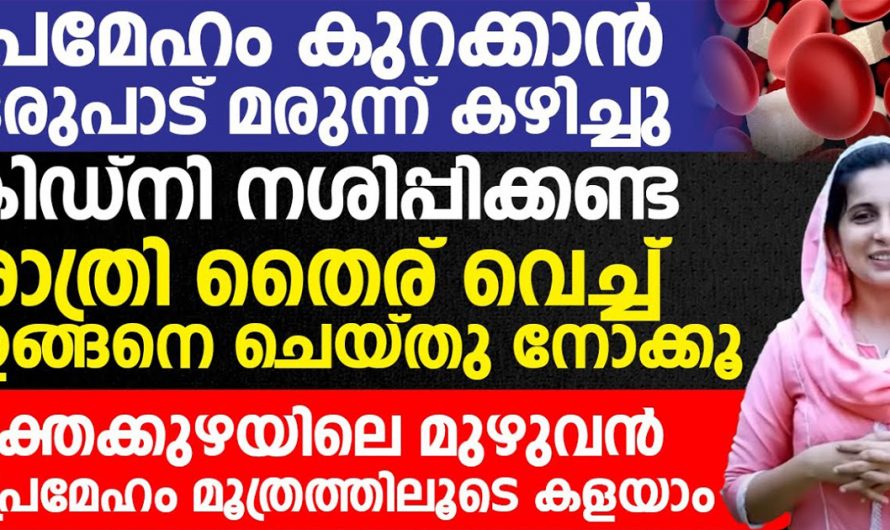 പ്രമേഹം കുറയ്ക്കാൻ ഒരുപാട് മരുന്നു കഴിച്ച് ആരോഗ്യം കളയേണ്ട. ഇതുപോലെ ചെയ്താൽ മതി. | Diabetes Control Tip