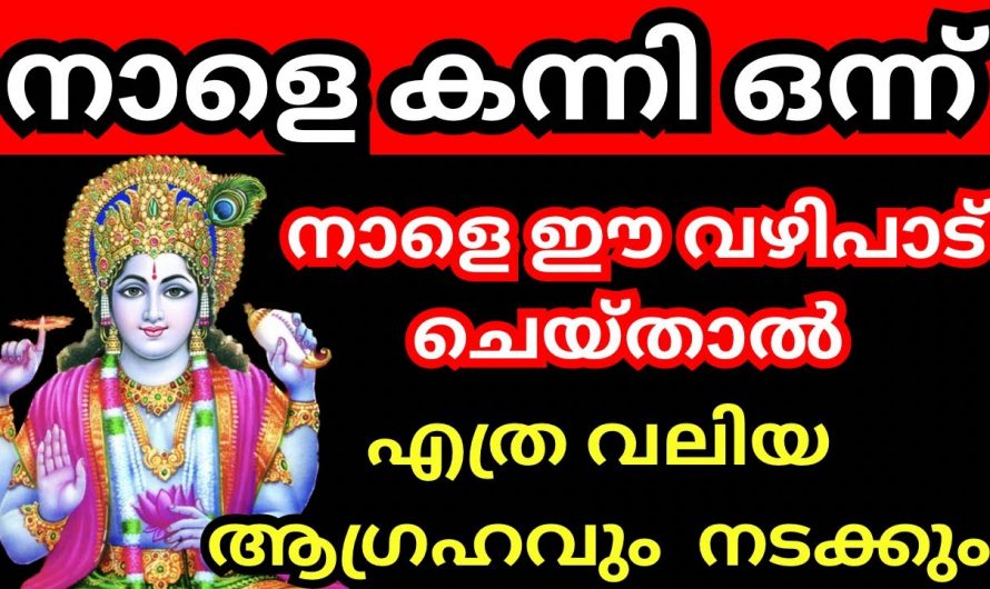 കന്നി മാസം പിറന്നിരിക്കുന്നു. മുടങ്ങാതെ ഈ വഴിപാട് ചെയ്താൽ എത്ര വലിയ ആഗ്രഹവും നടന്നു കിട്ടും.