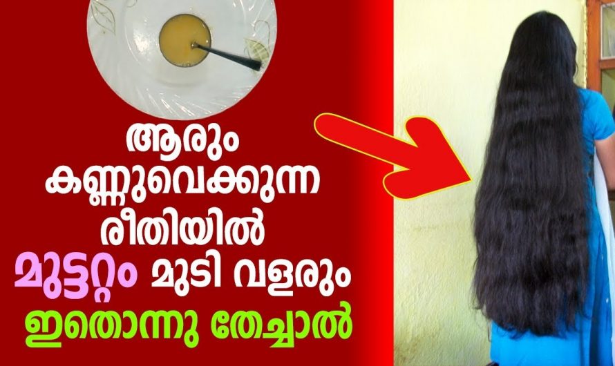 ആരും കണ്ണ് വെക്കുന്ന രീതിയിൽ മുട്ടറ്റം മുടിവളരാൻ ഇതൊന്നു തേച്ചാൽ മതി. മുടികൊഴിച്ചിൽ ഉള്ളവർ ഇത് ട്രൈ ചെയ്തു നോക്കണേ.| Hair Growth Mix Making