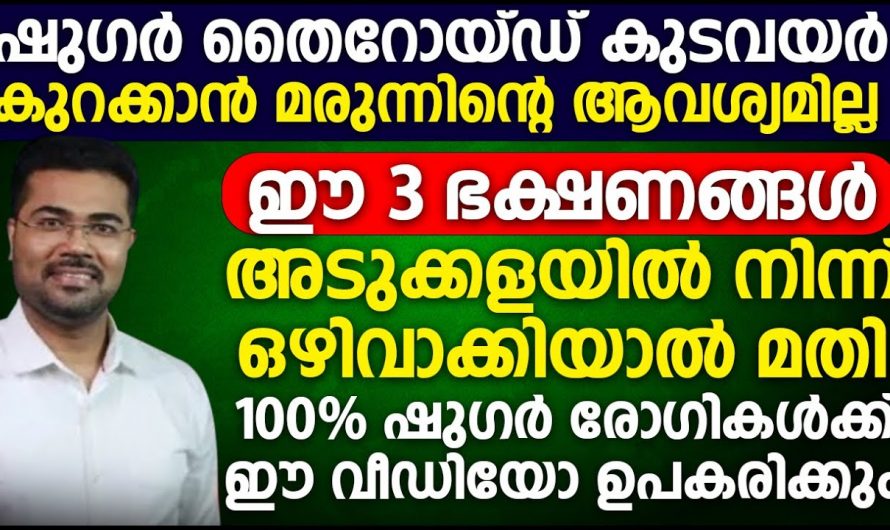 100% ഇത് നിങ്ങൾക്ക് ഉപകാരപ്പെടും. ഷുഗറും തൈറോയിഡും കുടവയറും കുറയ്ക്കാൻ ഇനി മരുന്നിന്റെ ആവശ്യമില്ല. | 100% it will be useful for you