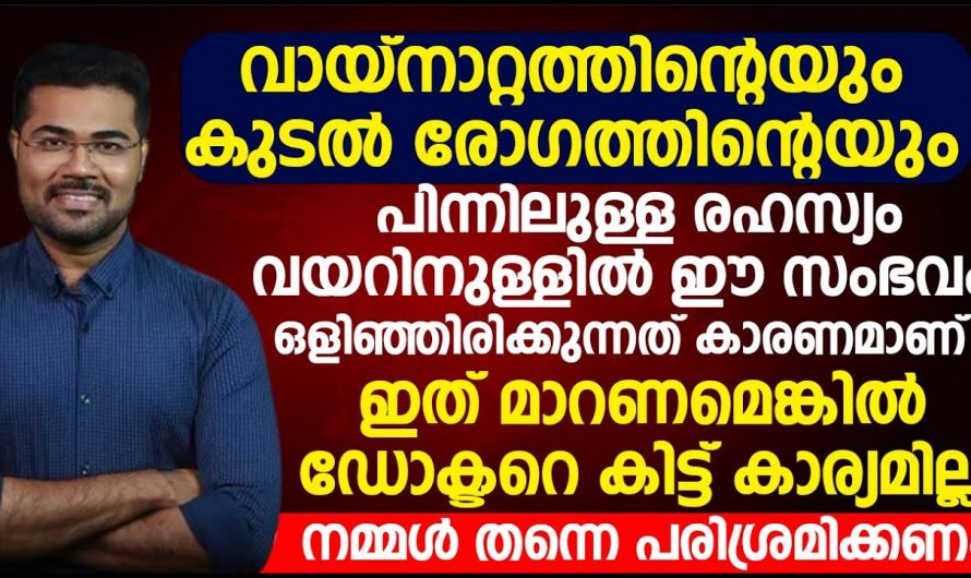 വായനാറ്റത്തിന്റെയും കുടൽ രോഗത്തിന്റെയും രഹസ്യം വയറിനുള്ളിൽ ഈ സംഭവം ഒളിഞ്ഞിരിക്കുന്നത് കാരണമാണ്. | The Major Problem Of Stinky mouth