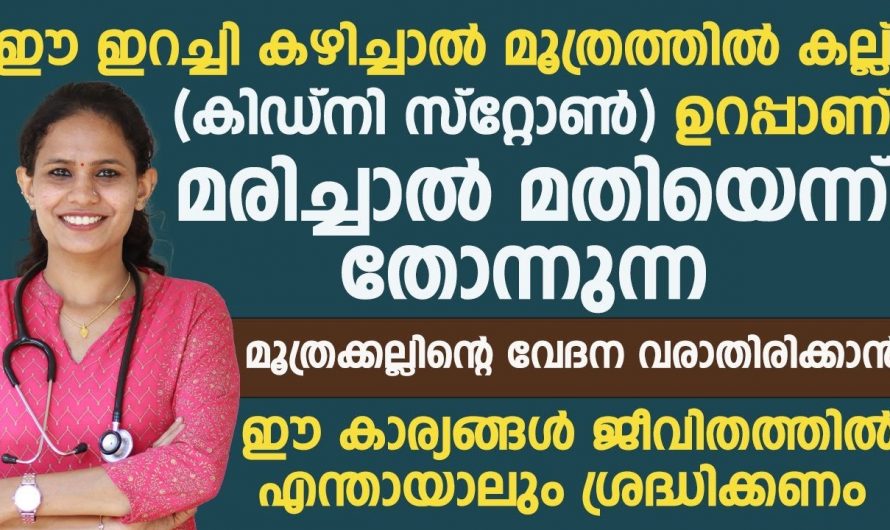 ഈ ഇറച്ചി കഴിച്ചാൽ കിഡ്നി സ്റ്റോൺ ഉറപ്പാണ്. ഇക്കാര്യങ്ങൾ പ്രത്യേകം ശ്രദ്ധിക്കണേ. | Prevent Kidney Stone