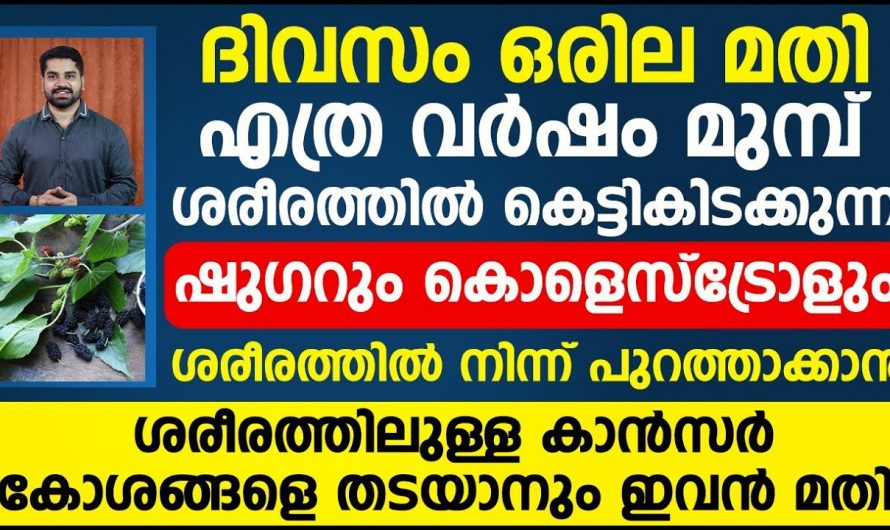 ദിവസം ഒരു ഇല മതി ഷുഗർ ആയാലും കൊളസ്ട്രോൾ ആയാലും ശരീരത്തിൽ നിന്ന് പുറത്തു പോകാൻ. | Cholestrol Malayalam Health