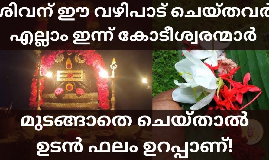 അടുത്തുള്ള ശിവക്ഷേത്രത്തിൽ മുടങ്ങാതെ ഈ വഴിപാട് ചെയ്താൽ. സാമ്പത്തിക പ്രശ്നങ്ങൾ എല്ലാം തീർന്ന് നിങ്ങൾ കോടീശ്വരന്മാരാകും.