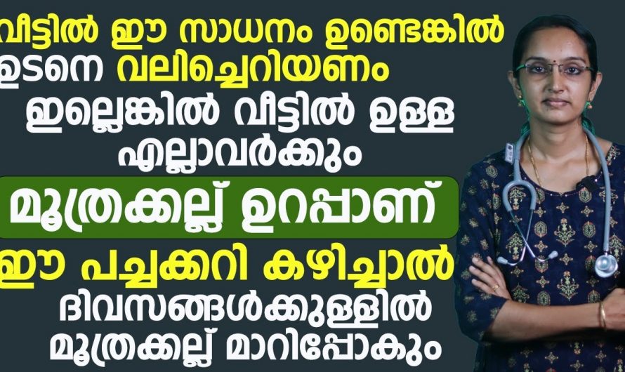 കിഡ്നി സ്റ്റോൺ: ഇവ ഒഴിവാക്കി ഇല്ലെങ്കിൽ വൃക്ക തകരാറിലാകും…