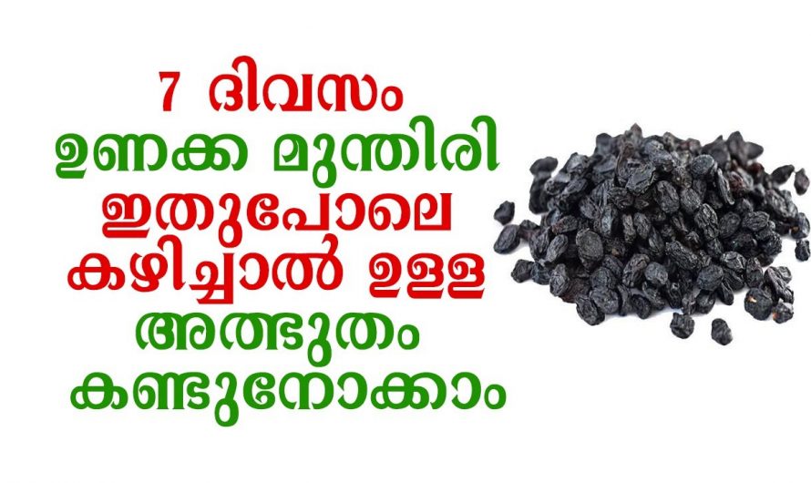 ഒരുപാട് രോഗങ്ങൾക്കുള്ള ഒരു അത്യുഗ്രൻ പ്രതിവിധി.. ഇതൊന്നു ഉപയോഗിച്ചു നോക്കൂ…