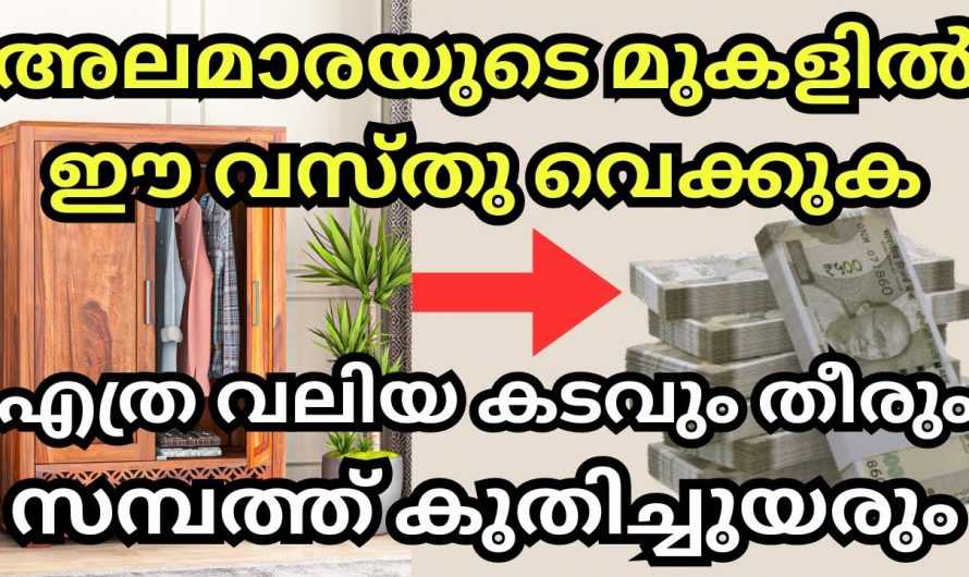 നിങ്ങളുടെ വീട്ടിലെ അലമാരയിൽ ഇതൊന്ന് വച്ച് നോക്കൂ ധനം കുമിഞ്ഞു  കൂടും…