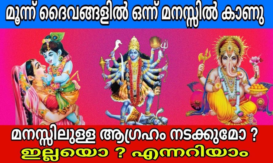 നിങ്ങൾ ആഗ്രഹിച്ച കാര്യം നടക്കുമോ? ഇപ്പോൾ തന്നെ അറിയാം…