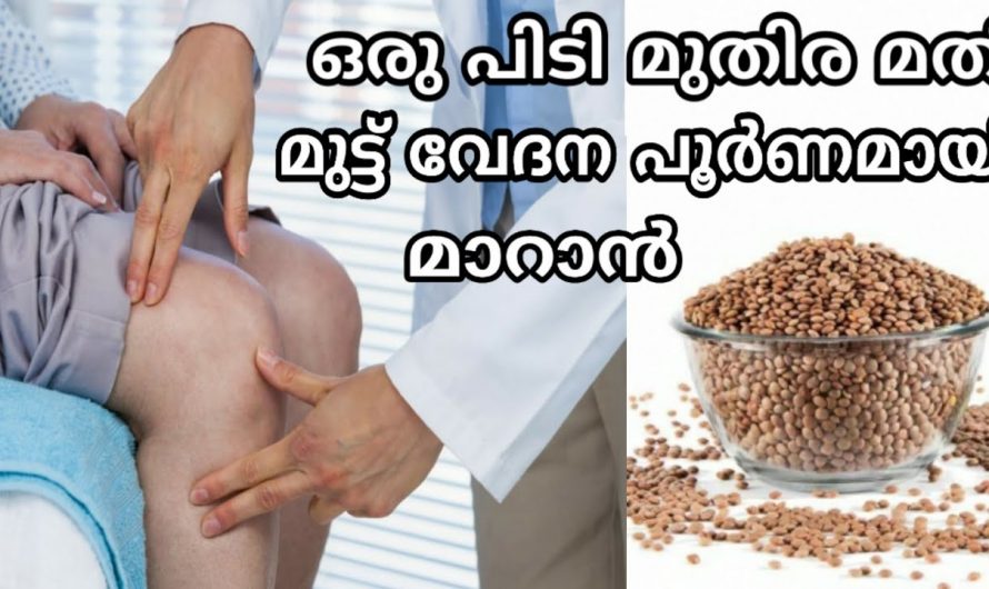 ഈ രണ്ടു ചേരുവകൾ മതി ഏത് വേദനയും പമ്പകടക്കും..100%റിസൾട്ട്‌