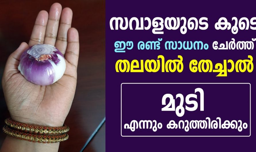 ഇത് ചെയ്താൽ എത്ര പ്രായമായാലും മുടി നരക്കില്ല.. ഒരു കിടിലൻ വിദ്യ