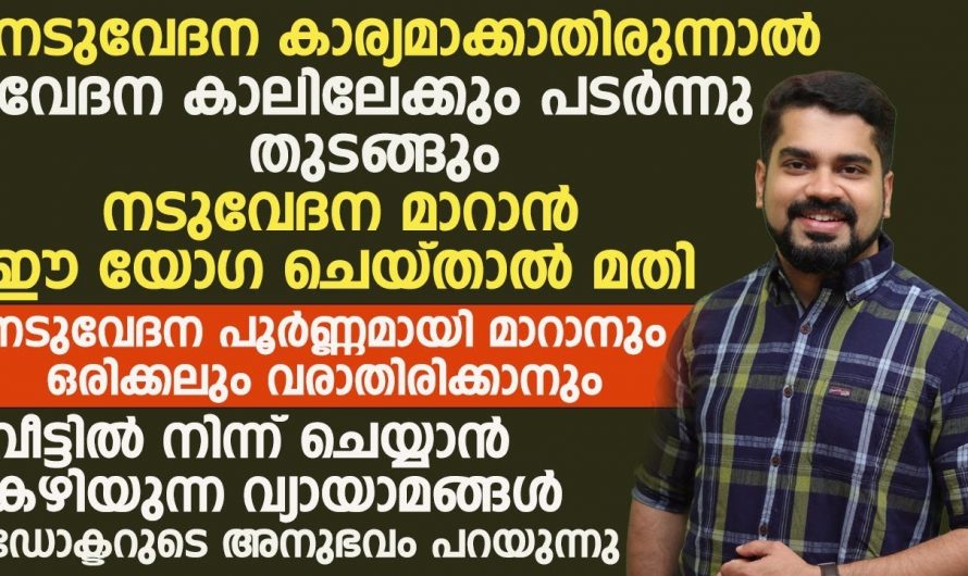 നടുവേദനയുള്ളവർ ഈ കാര്യങ്ങൾ ഒരിക്കലും മറക്കരുത്..