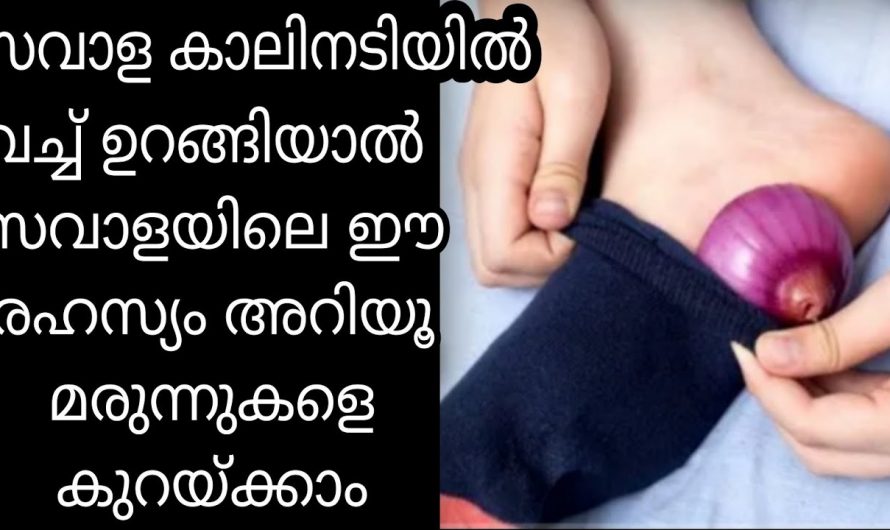 സവാളയുടെ നമുക്കറിയാത്ത കിടിലൻ ഉപയോഗങ്ങൾ. ഇതാ കണ്ടു നോക്കൂ. | uses of onion that we don’t know about