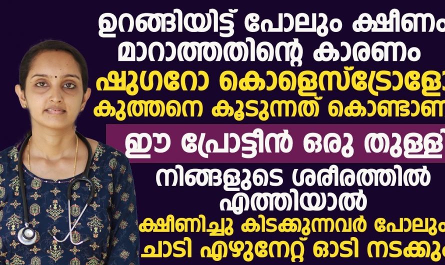 ഈ പ്രോട്ടീൻ ഒരു തുള്ളി ശരീരത്തിൽ എത്തിയാൽ ക്ഷീണിച്ചു കിടക്കുന്നവർ പോലും ചാടി എണീറ്റ് ഓടി നടക്കും. | Healthy Vitamin Useful Tip