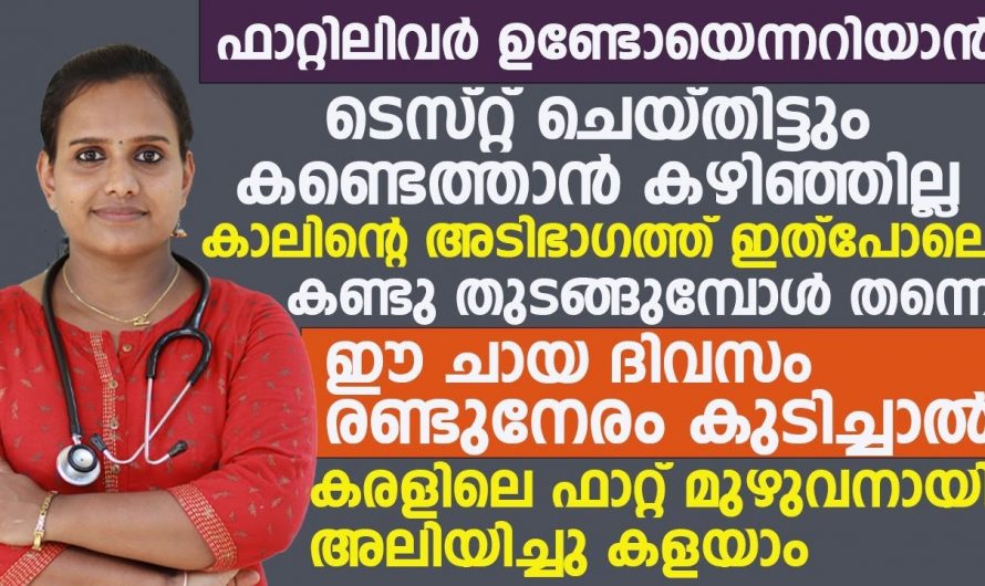 ഇനി ഈ ചായ രണ്ടുനേരം കുടിച്ചാൽ കരളിലെ ഫാറ്റ് മുഴുവനായി അലിയിച്ച് കളയാം. | Easy Way To Reduce Fat