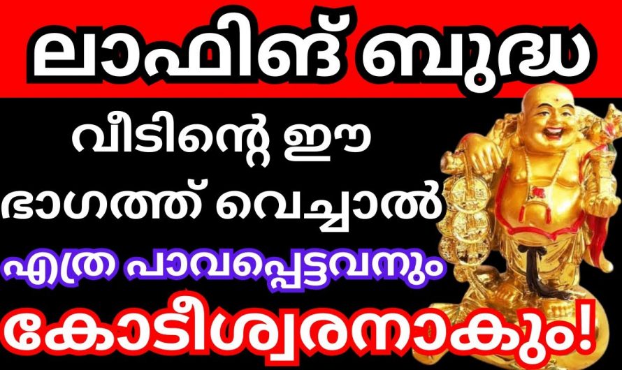 ഇന്ന് തന്നെ ഒരു ലാഫിംഗ് ബുദ്ധ വീടിന്റെ ഈ ഭാഗത്ത് വയ്ക്കു. എത്ര പാവപ്പെട്ടവനും കോടീശ്വരൻ ആകും.