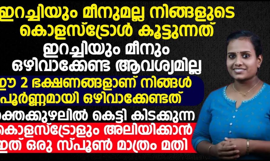 ഇറച്ചിയും മീനും അല്ല കൊളസ്ട്രോൾ കൂട്ടുന്നത്. ഒഴിവാക്കേണ്ടത് ഈ ഭക്ഷണങ്ങളാണ്. | Healthy Care Food Diet