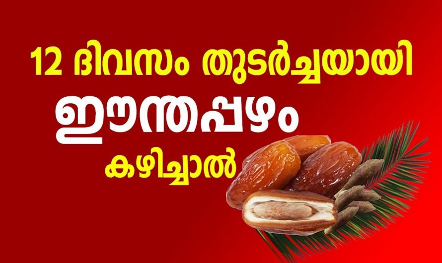 12 ദിവസം തുടർച്ചയായി ഈന്തപ്പഴം കഴിച്ചാൽ ഇതായിരിക്കും ഫലം. ഇതാ കണ്ടു നോക്കൂ. | Dates Health Tip