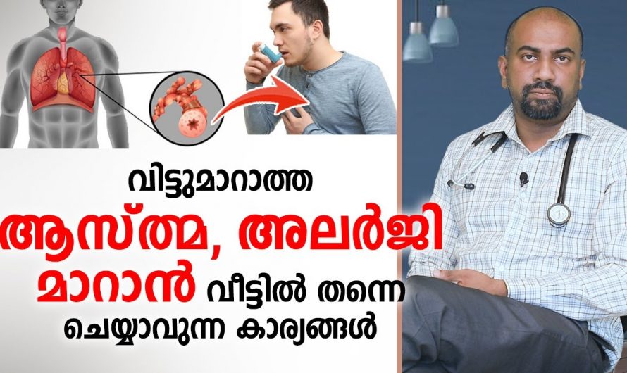 വിട്ടുമാറാത്ത അലർജി ആസ്മ ഉള്ളവർക്ക് വീട്ടിൽ തന്നെ ചെയ്യാവുന്ന പരിഹാരമാർഗങ്ങൾ. | Prevent Allergy Malayalam