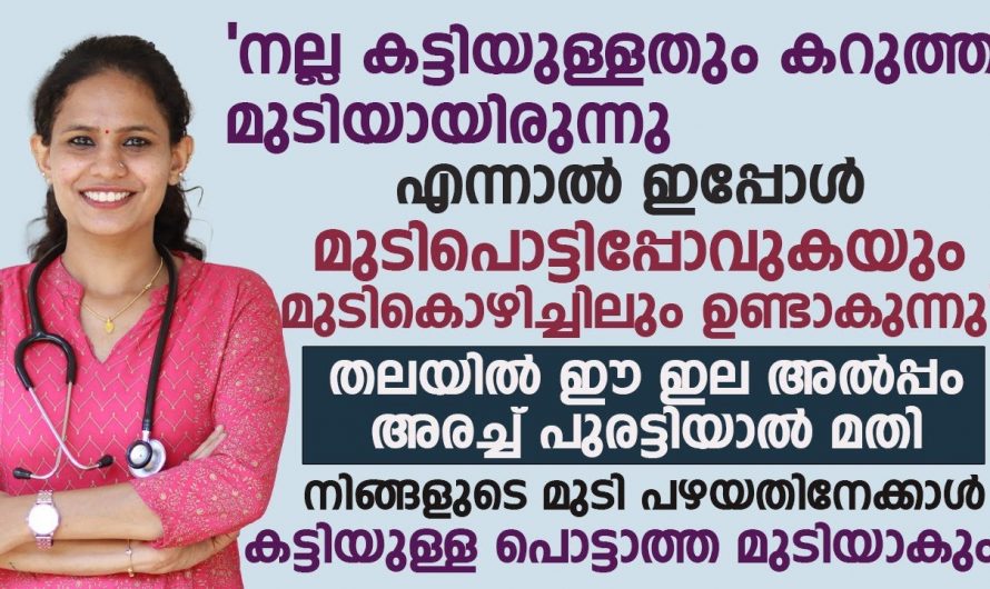 നല്ല കട്ടിയുള്ളതും കറുത്ത മുടിയും കിട്ടാൻ തലയിൽ ഈ ഇല അരച്ചു പുരട്ടിയാൽ മതി. ഡോക്ടർ പറയുന്നതുപോലെ ചെയ്യാം. | Hair Caring Malayalam tips