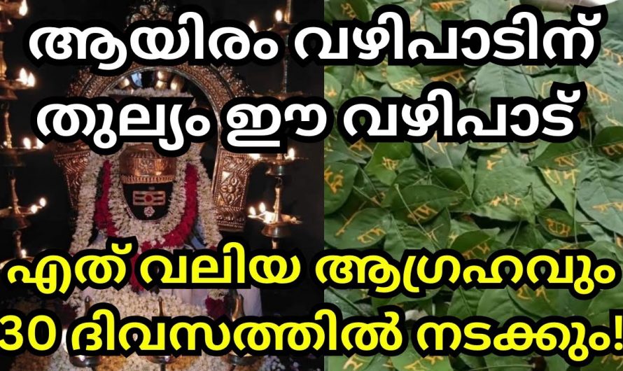 ആയിരം വഴിപാടിന് തുല്യം ഈ ഒരൊറ്റ വഴിപാട്. എത്ര വലിയ ആഗ്രഹവും നടന്നിരിക്കും.