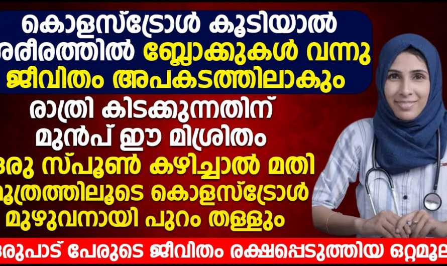 ഒരുപാട് പേരുടെ ജീവിതം രക്ഷപ്പെടുത്തിയ ഒറ്റമൂലി. കൊളസ്ട്രോൾ ശരീരത്തിൽ നിന്നും മുഴുവനായി പുറന്തള്ളാം. | How To Cholesterol completely eliminated