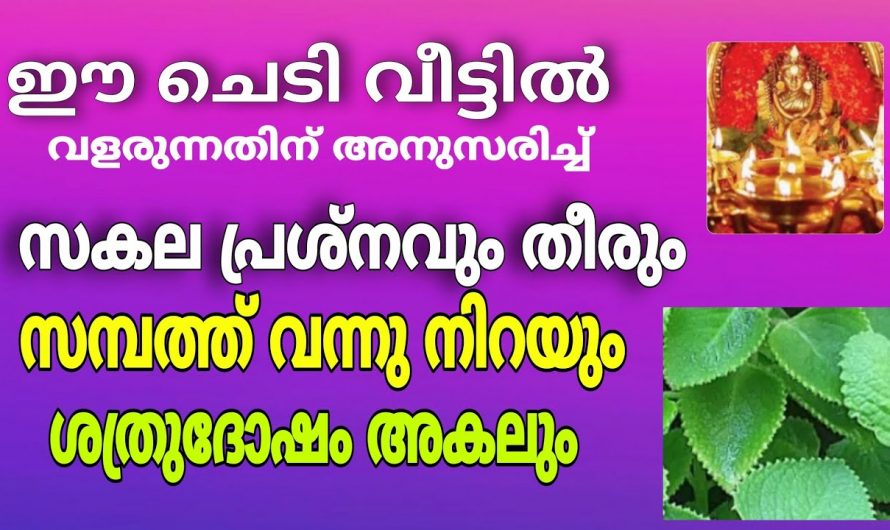 സമ്പത്ത് വന്ന് ചേരാനായി ഈ ഒരു കാര്യം ചെയ്താൽ മതി..