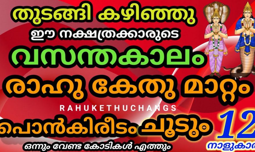 ഈ രാശിക്കാർ നിങ്ങളുടെ വീട്ടിലെ ഭാഗ്യവാന്മാരാണ്…