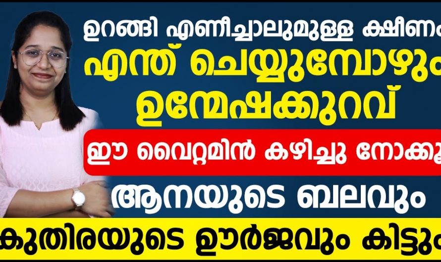 ഇവ കഴിക്കൂ… ഊർജ്ജവും ഉന്മേഷവും വേണ്ടുവോളം ലഭിക്കും..