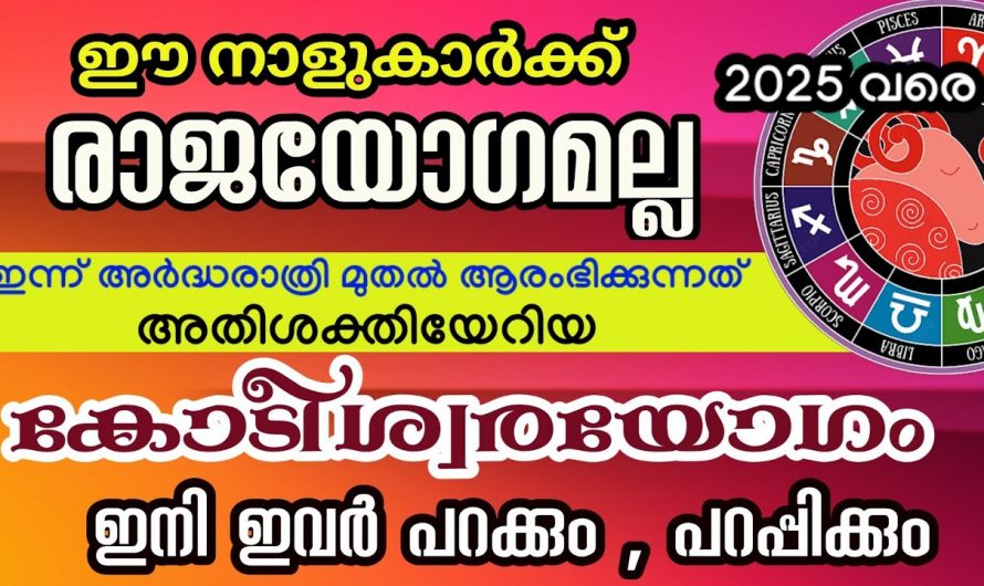 നിങ്ങളുടെ വീട്ടിലുണ്ടോ ഈ നാളുകാർ..? ഇവർ ഇനി കോടീശ്വരന്മാർ..