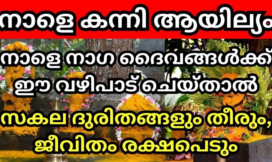 കന്നിയിലെ ആയില്യം, ഇങ്ങനെ ചെയ്താൽ വലിയ നേട്ടങ്ങൾ ലഭിക്കും…